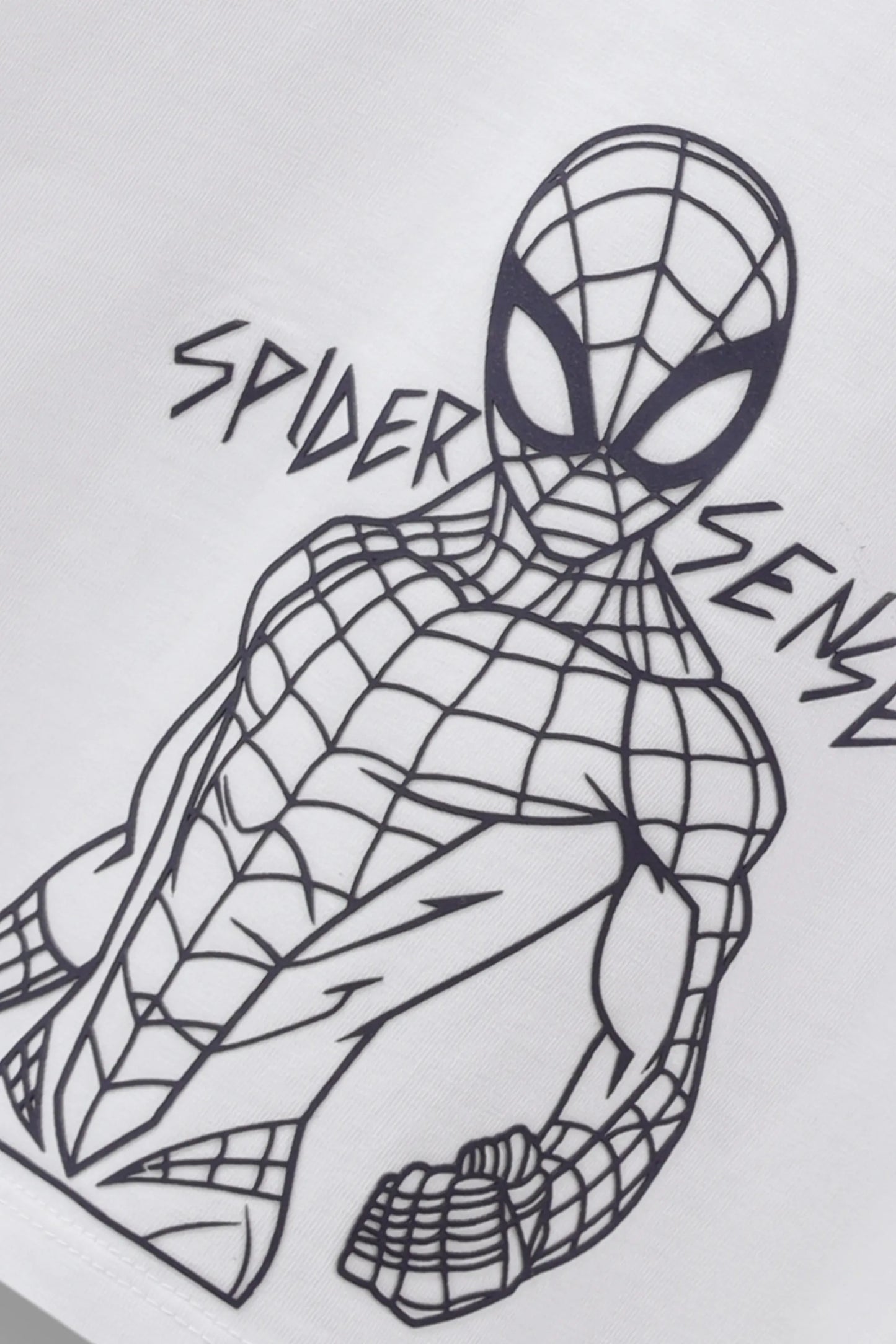 Spiderman Relaxed Tee