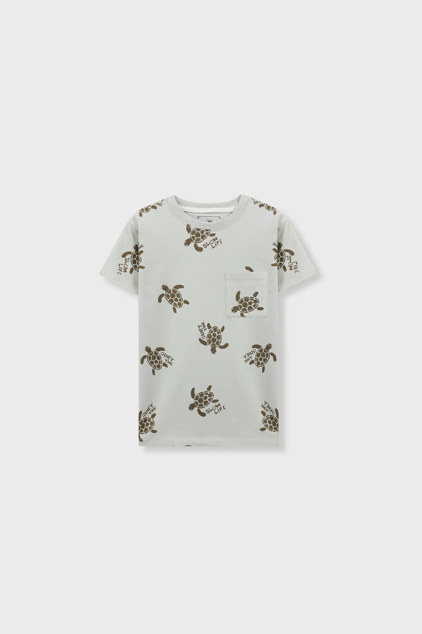 Boys Sage Turtle Drop Tee