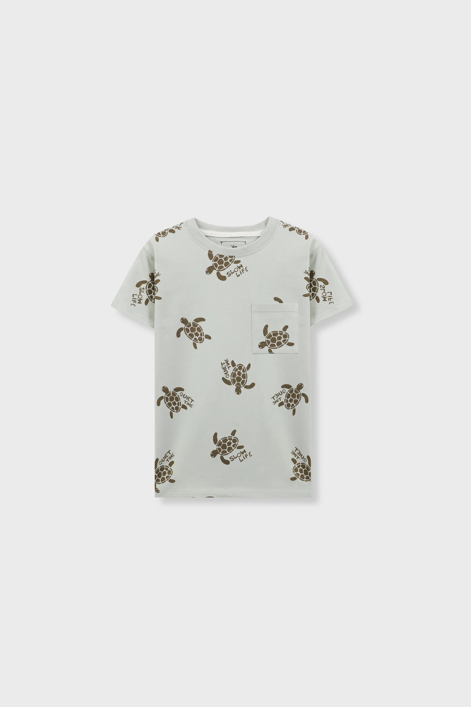 Boys Sage Turtle Drop Tee